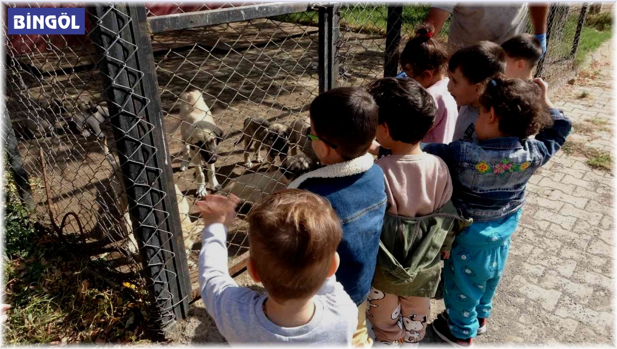 Bingöl'de çocuklar hayvan barınağını ziyaret etti