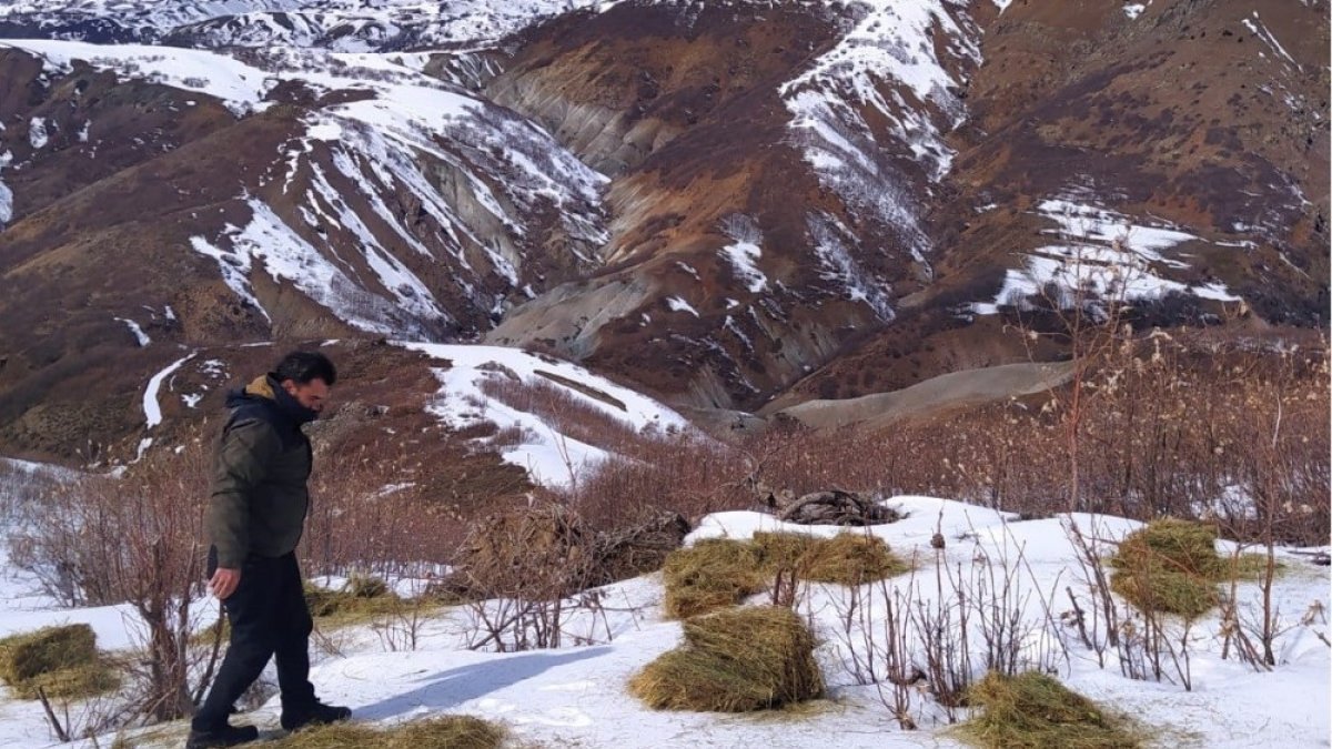 Bingöl'de doğaya 800 kilo yem bırakıldı