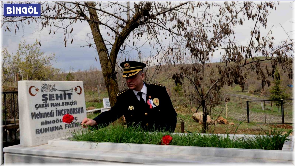 Bingöl'de emniyet mensupları, şehit kabirlerine karanfil bıraktı