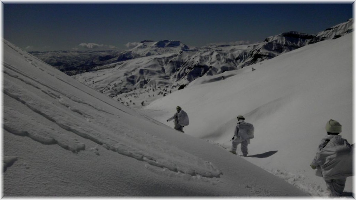 Bingöl'de Eren Şenyayla-Sağgöze operasyonu başlatıldı