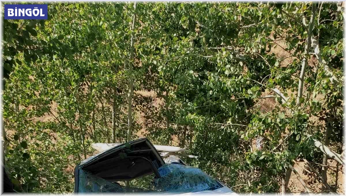 Bingöl'de hafif ticari araç şarampole yuvarlandı: 2 yaralı