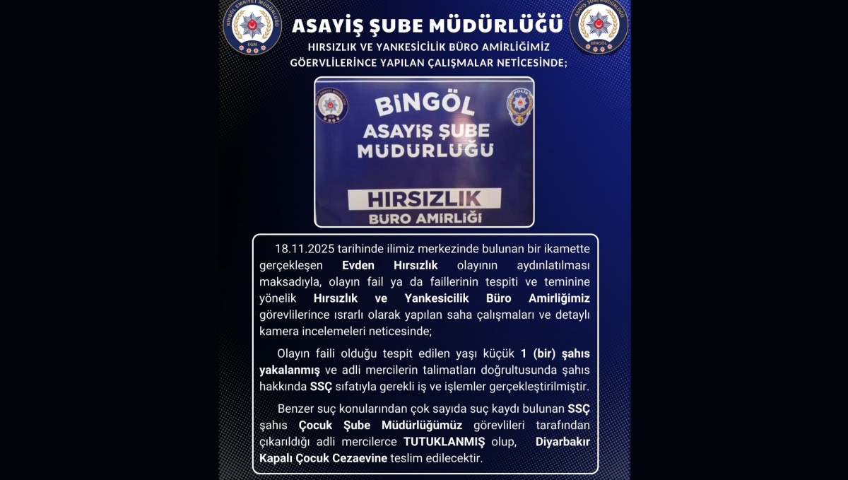 Bingöl'de hırsızlık olayının faili tutuklandı