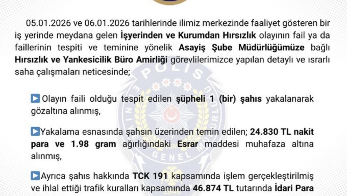 Bingöl'de hırsızlık yapan şüpheli tutuklandı