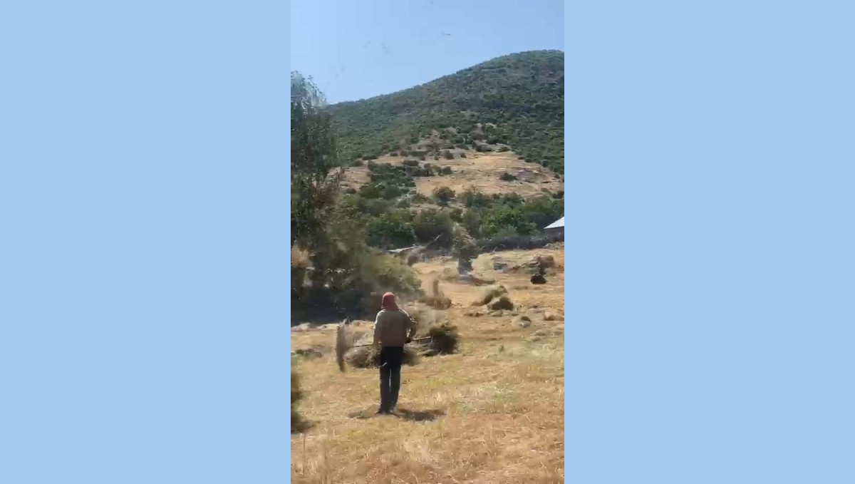Bingöl'de hortum otları uçurdu