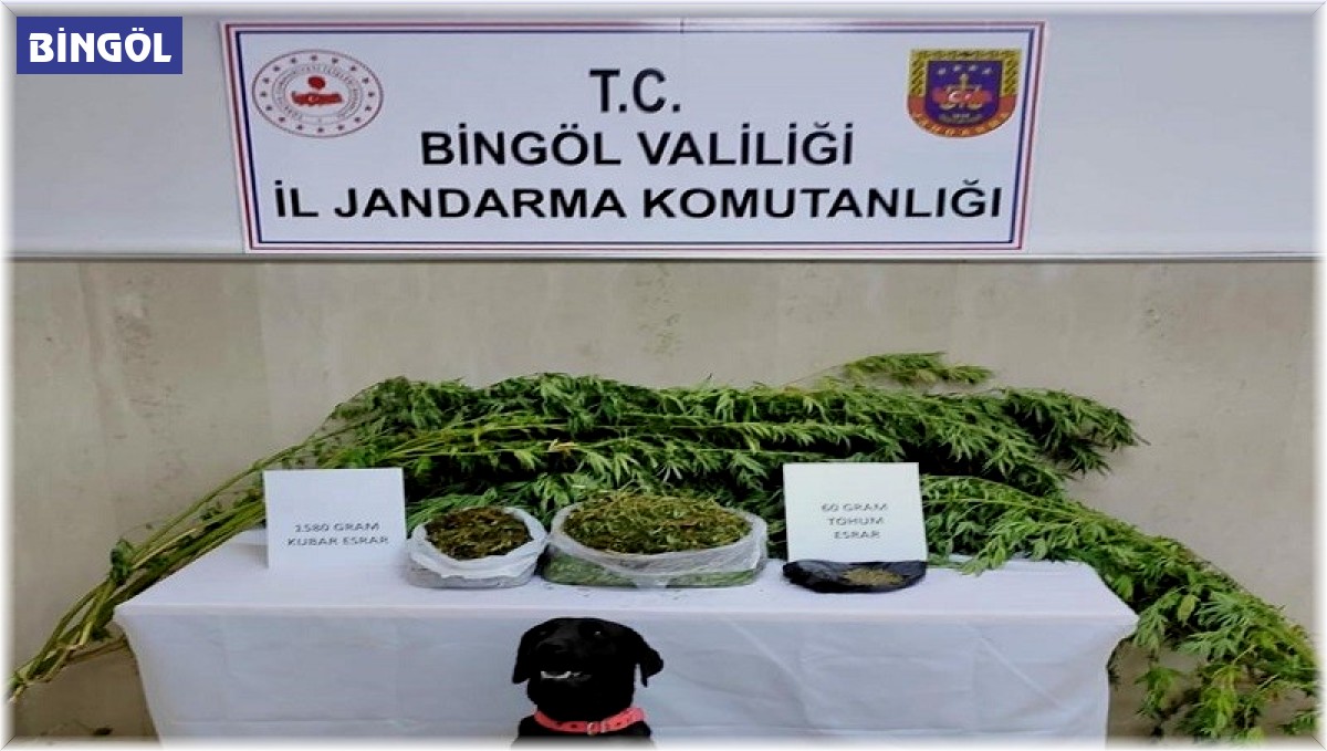 Bingöl'de iki adrese yapılan operasyonda uyuşturucu ele geçirildi