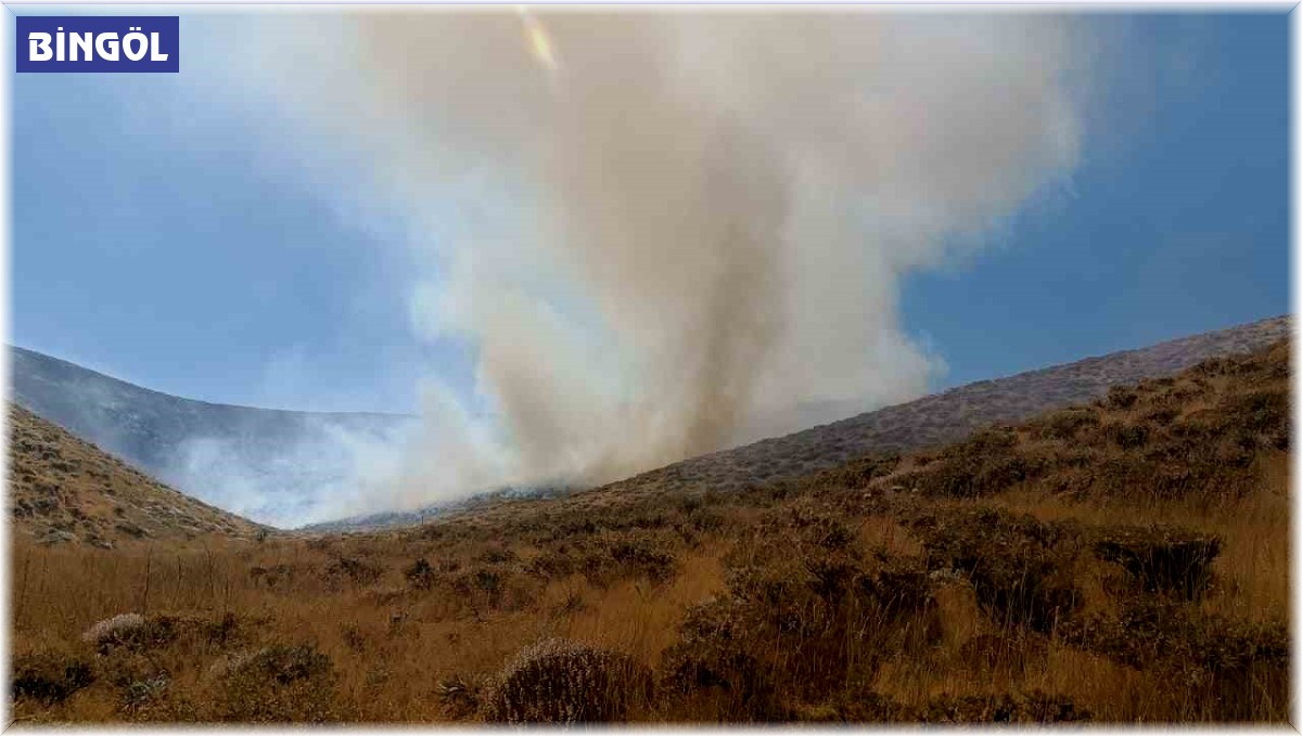 Bingöl'de iki bölgede çıkan yangın söndürüldü