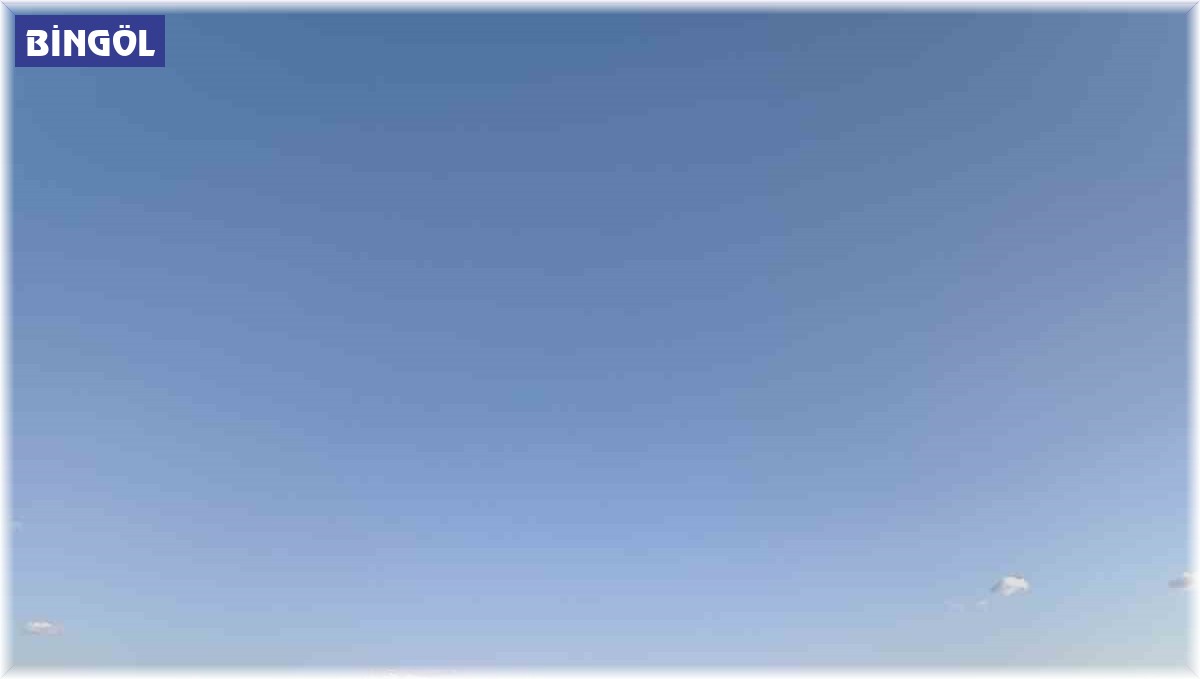 Bingöl'de ikiz kardeşler derede boğuldu