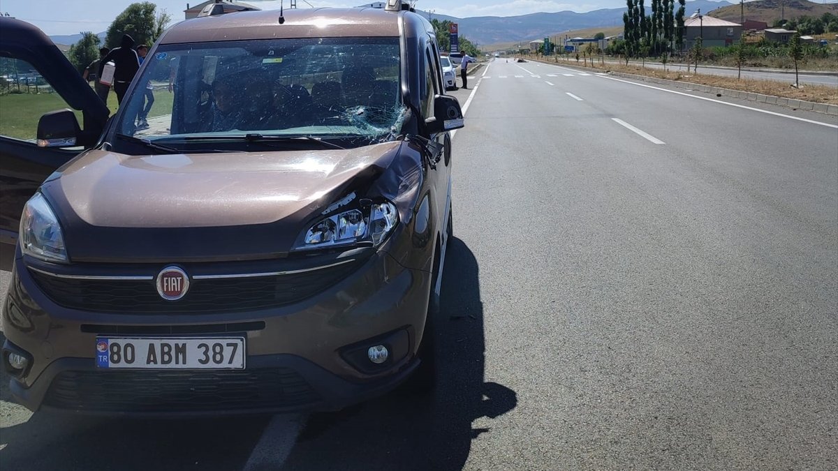 Bingöl'de ineğe çarpan araçta hasar oluştu