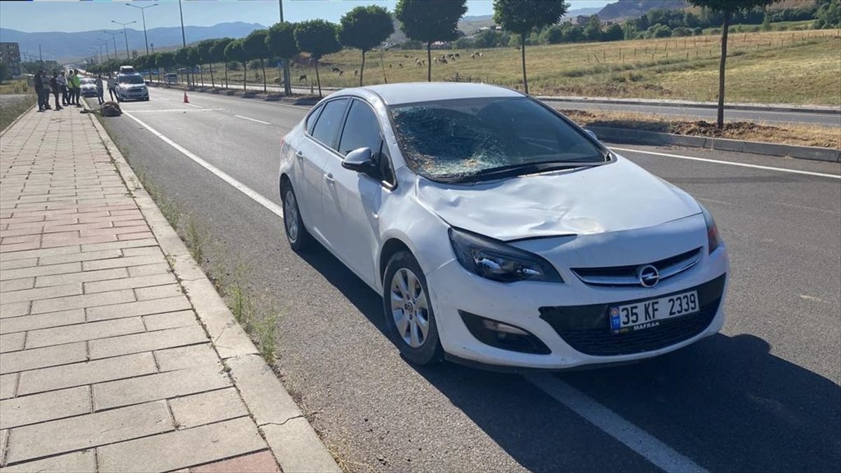 Bingöl'de ineklere çarpan iki araçta hasar oluştu