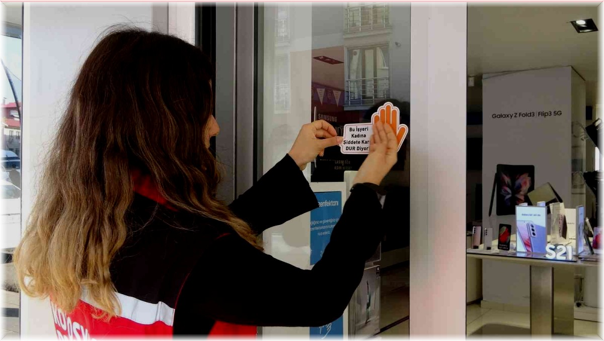 Bingöl'de iş yerlerine 'Kadına Şiddete Dur' stickerları