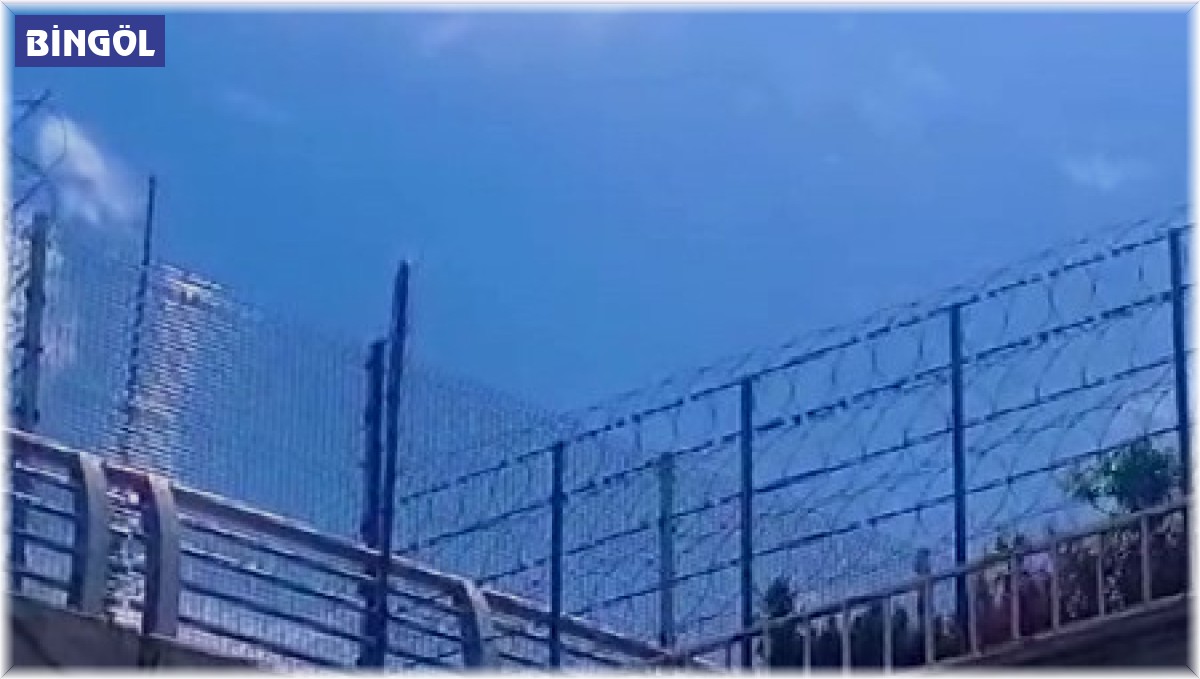 Bingöl'de istinat duvarında mahsur kalan koyun kurtarıldı