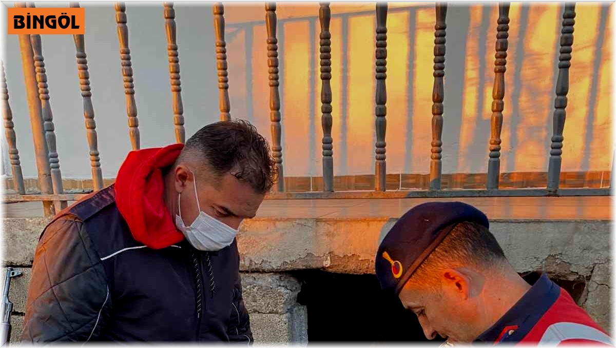 Bingöl'de jandarma, 8 yavru ve anne köpeği donmak üzereyken kurtardı