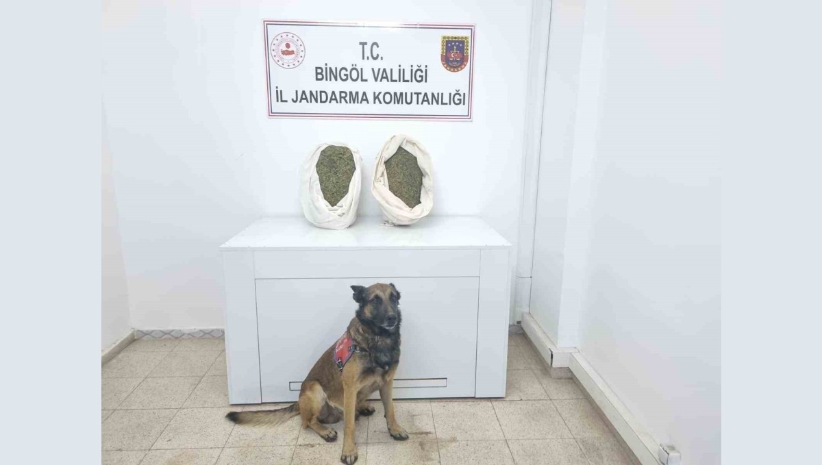 Bingöl'de jandarma ekipleri 10 kiloya yakın esrar ele geçirdi