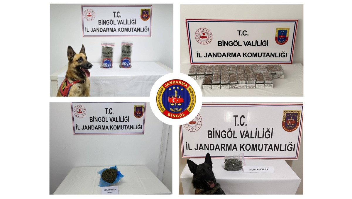 Bingöl'de jandarma ekipleri huzur ve güven için sahada