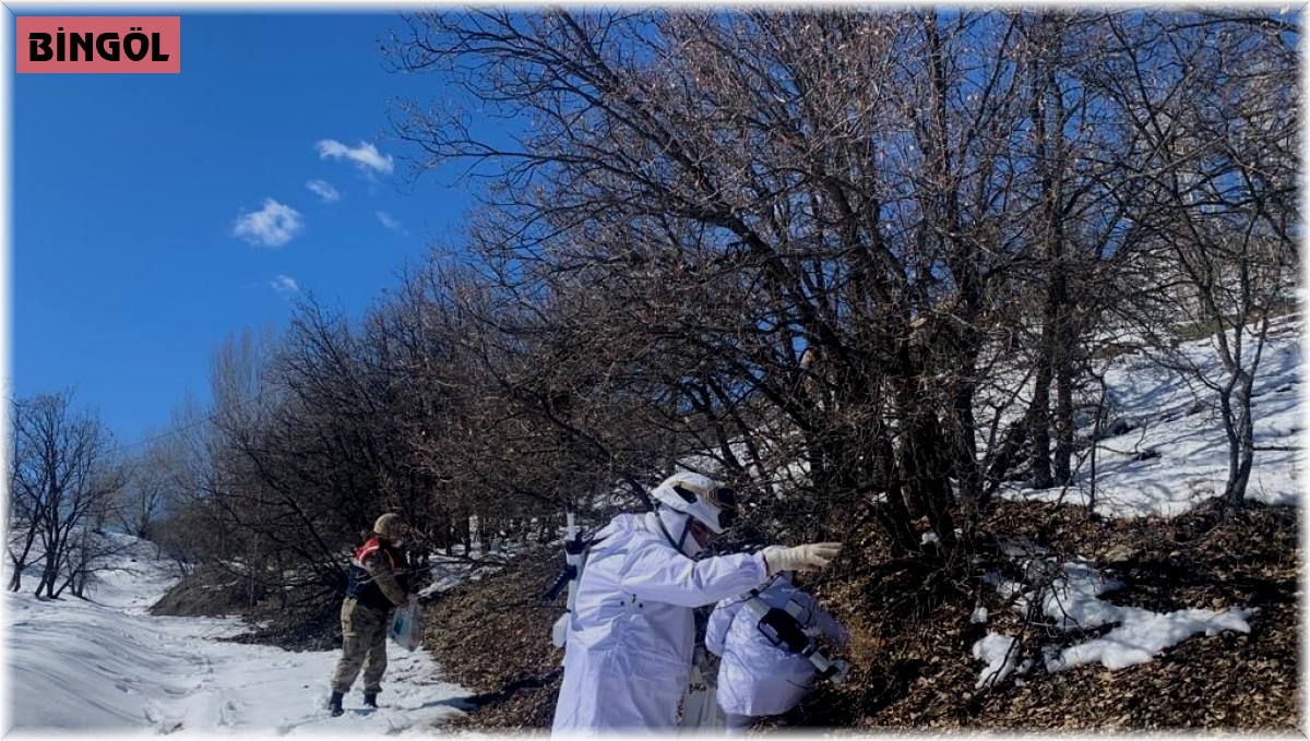 Bingöl'de jandarma ve polis ekipler doğaya yem bıraktı