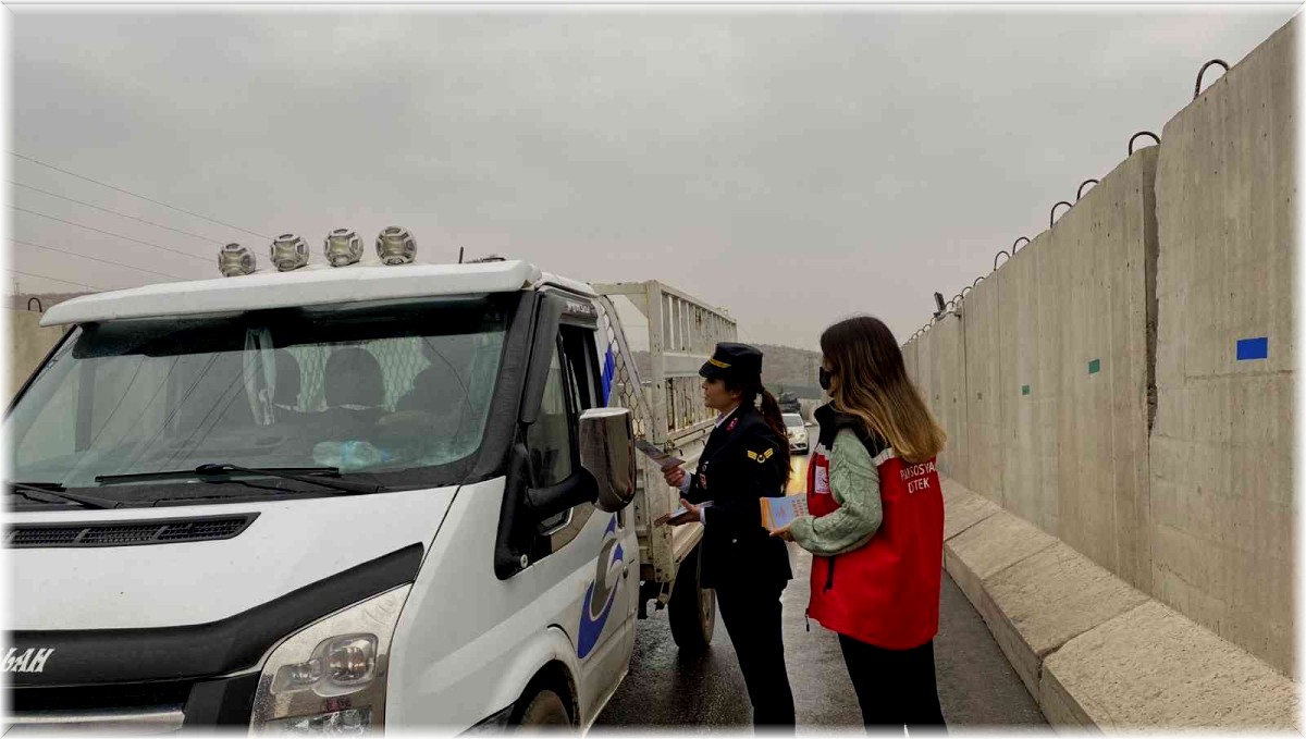 Bingöl'de kadına yönelik şiddete dikkat çekmek amacıyla broşür dağıtıldı