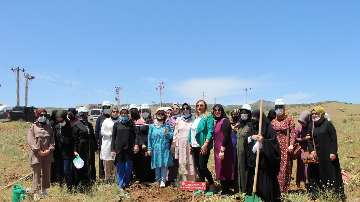 Bingöl'de kadınlar, 3 bin fidanı toprakla buluşturdu