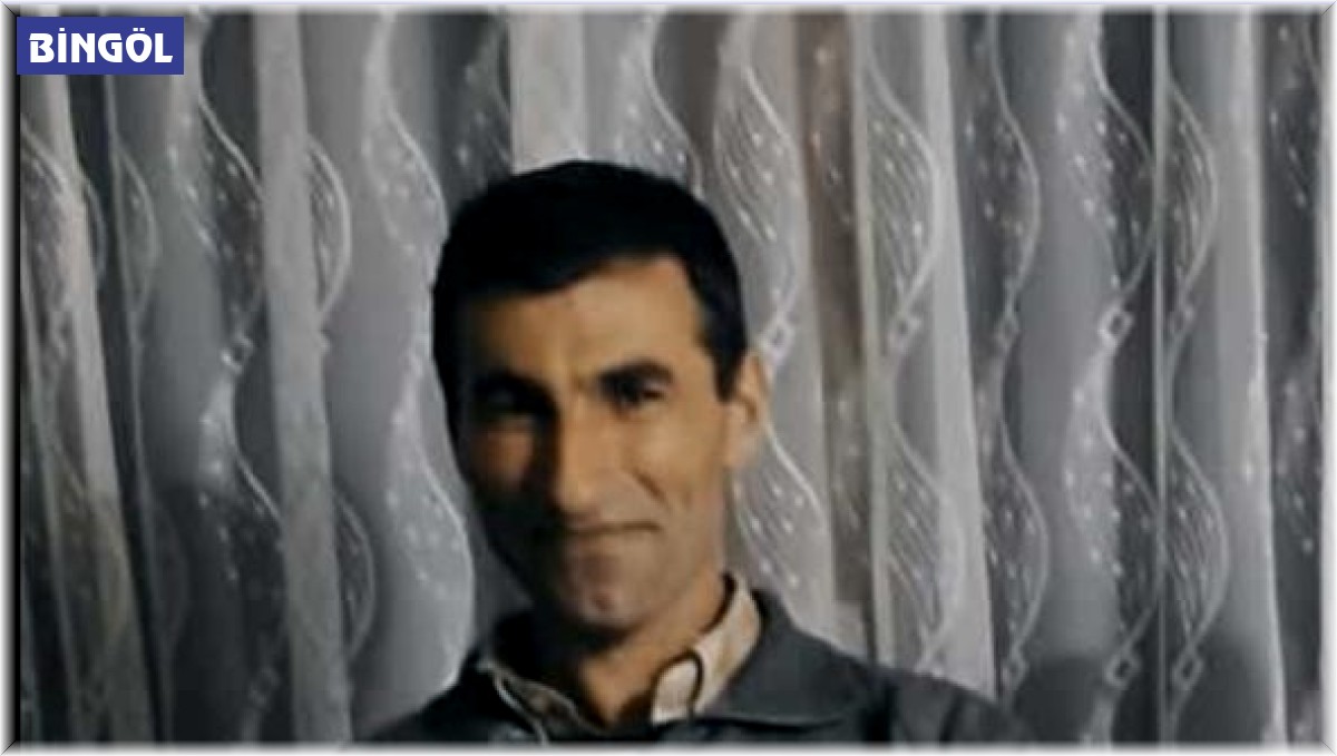 Bingöl'de kamyonun çarptığı adam hayatını kaybetti