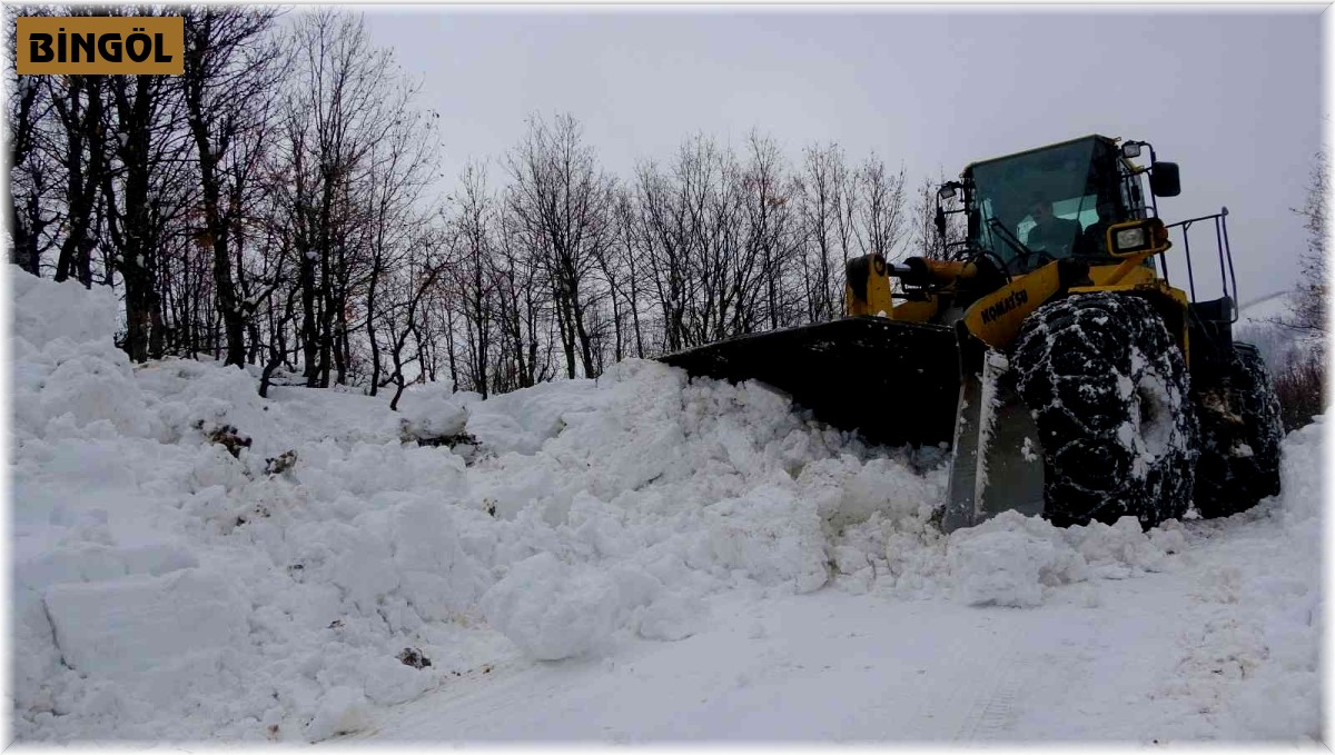Bingöl'de kapalı olan 21 köy yolunda çalışmalar sürüyor