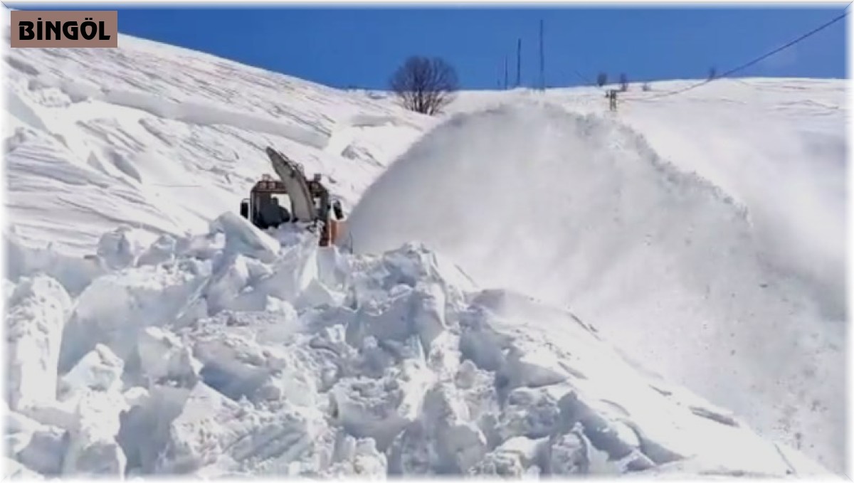 Bingöl'de kapalı olan 23 köy yolunda çalışma sürüyor
