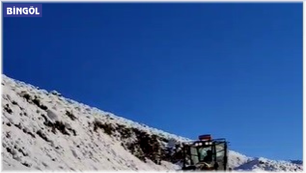 Bingöl'de kar 112 köy yolunu ulaşıma kapattı