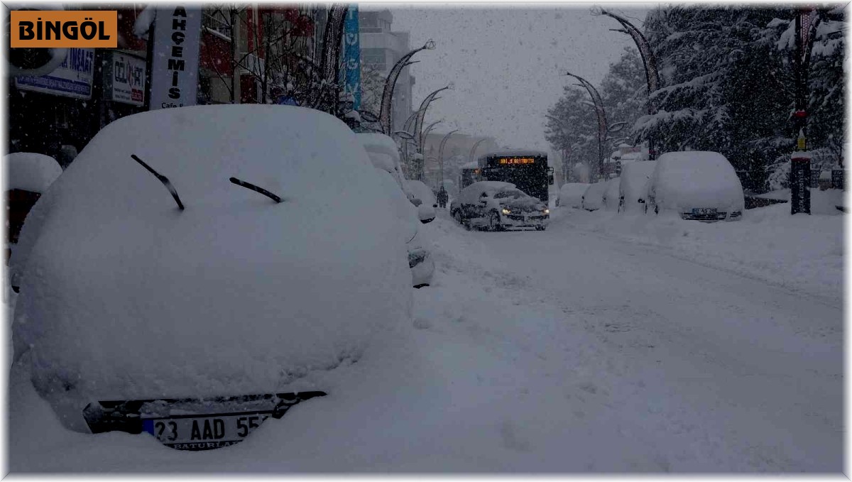Bingöl'de kar esareti: Araçlar kara gömüldü, 281 köy yolu ulaşıma kapandı