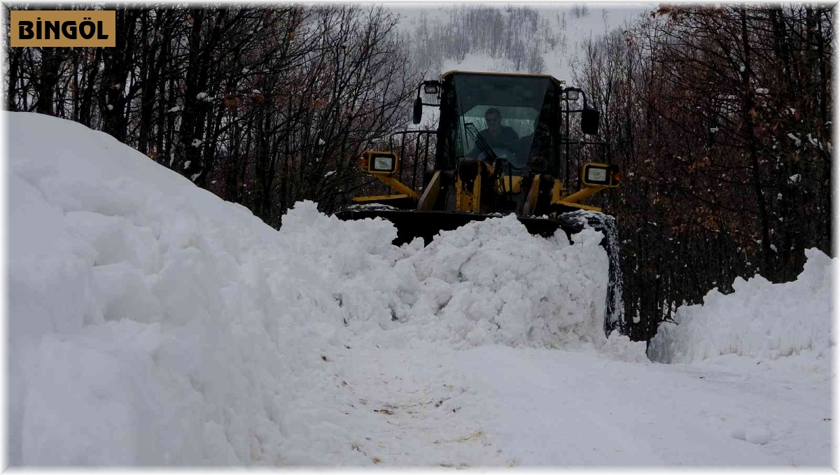 Bingöl'de kar nedeniyle 71 köy yolu ulaşıma kapandı