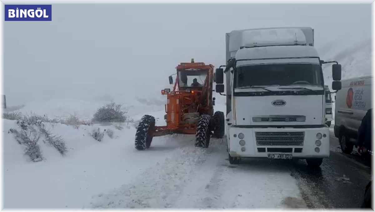 Bingöl'de kar ulaşımı engelledi