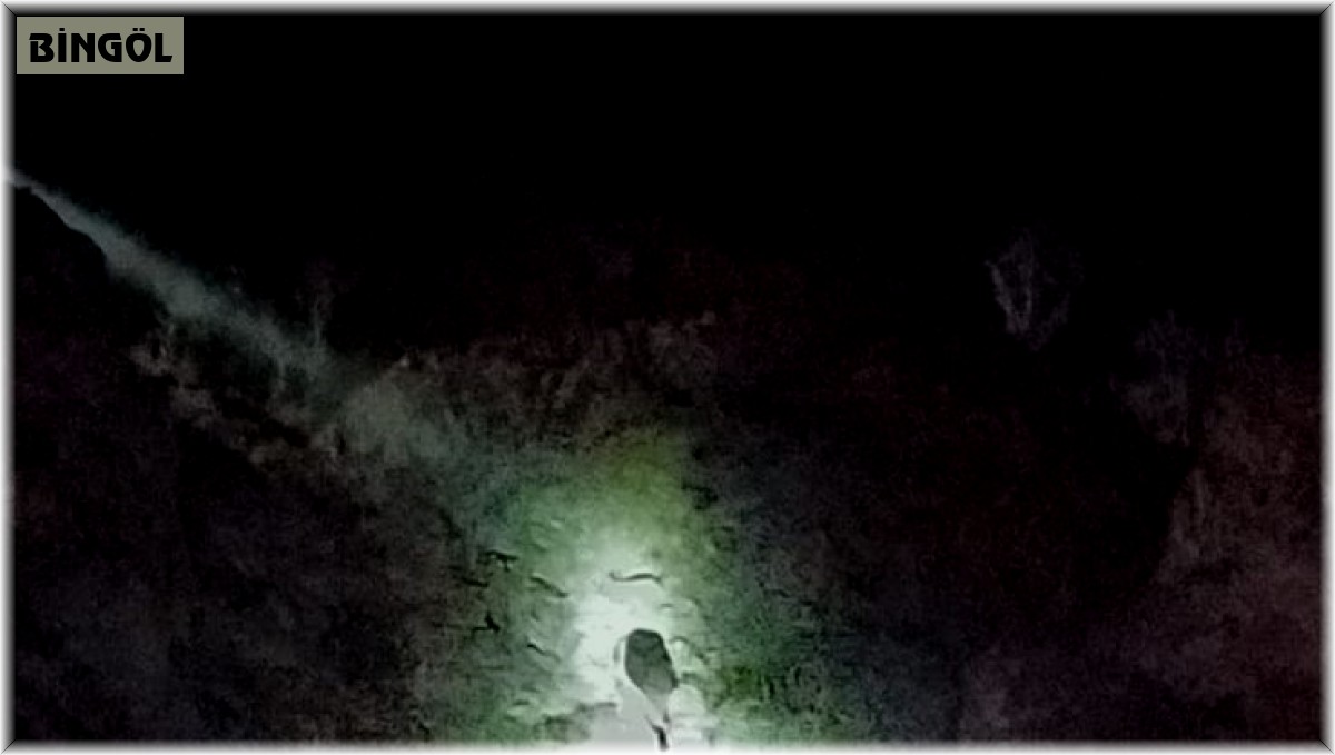 Bingöl'de kayalıklarda mahsur kalan keçiler kurtarıldı