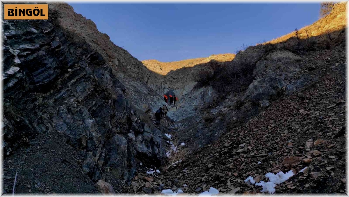 Bingöl'de kayalıklarda mahsur kalan vatandaş kurtarıldı