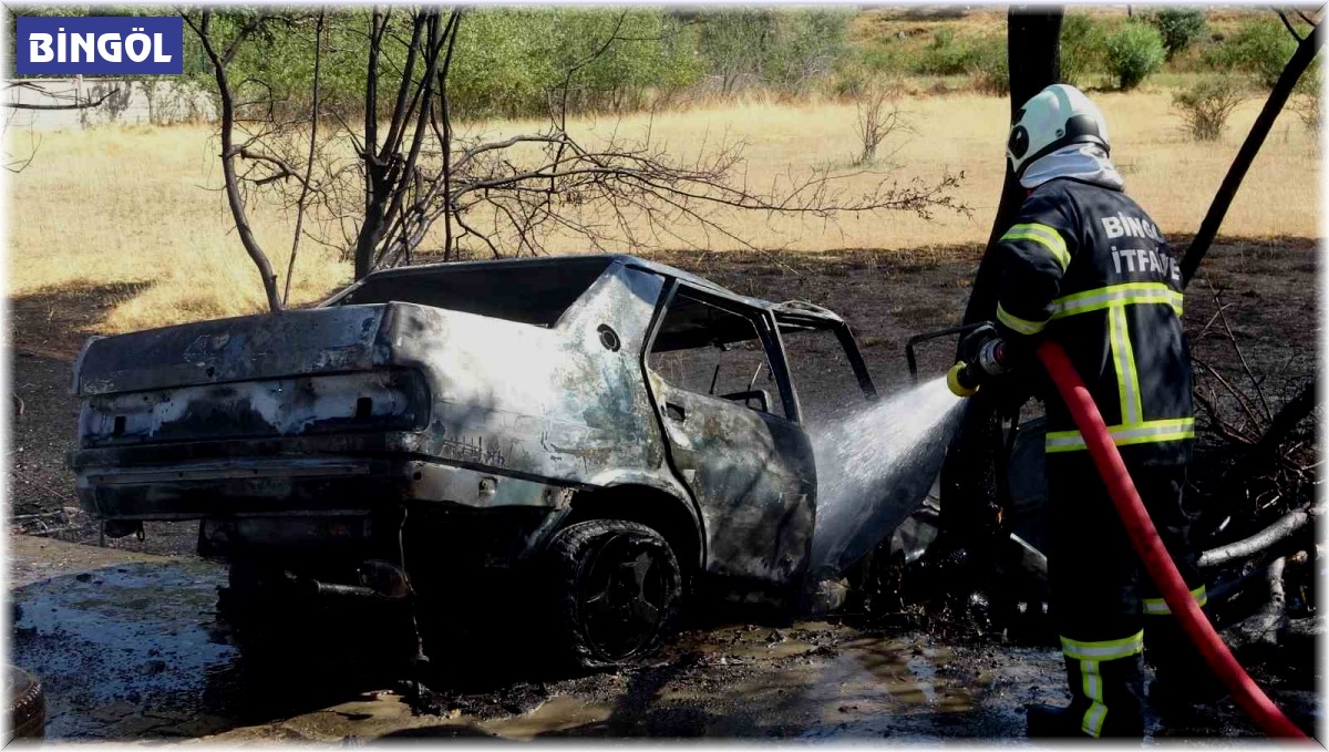 Bingöl'de kaza yapan otomobil yandı