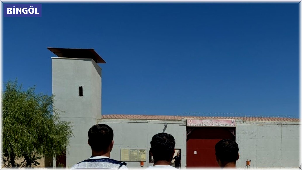 Bingöl'de kesinleşmiş hapis cezası bulunan 2 zanlı tutuklandı