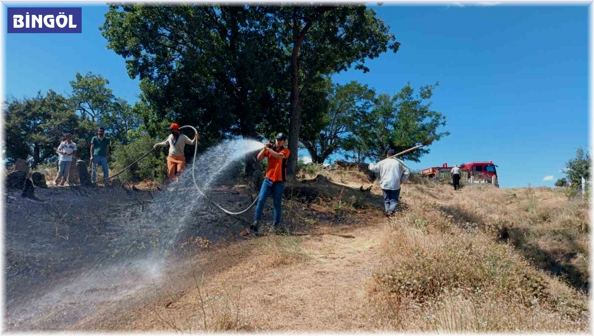 Bingöl'de kırsal alanda çıkan yangın ormana sıçramadan söndürüldü