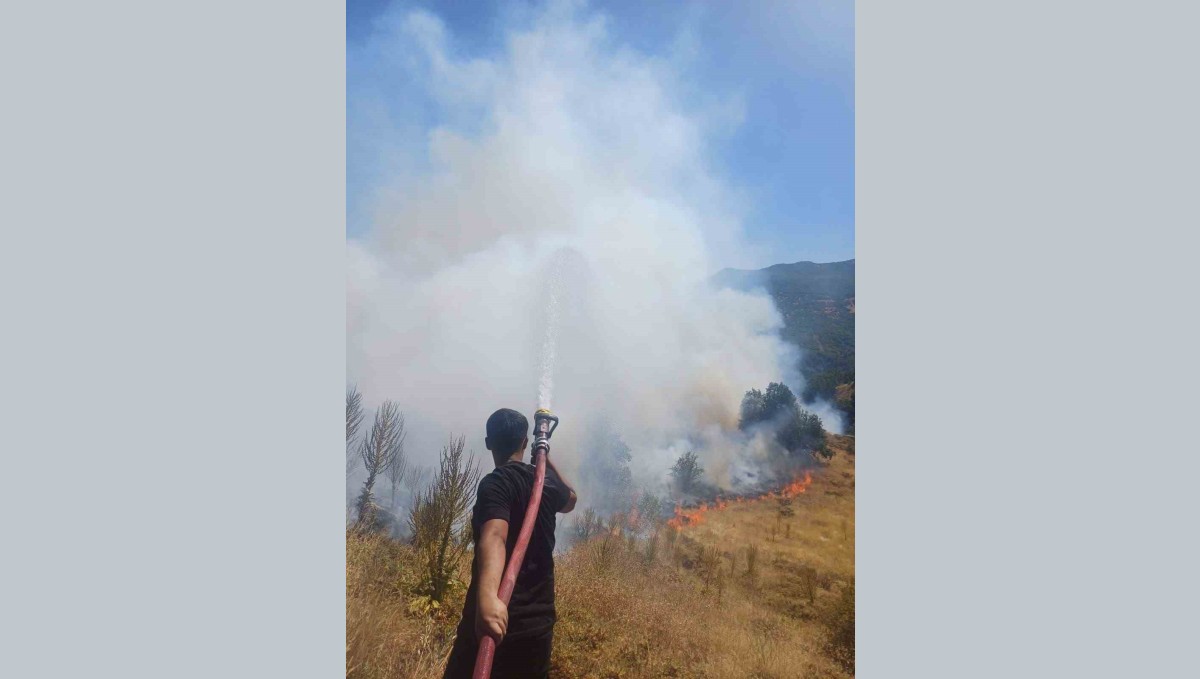 Bingöl'de kırsal alanda çıkan yangın söndürüldü