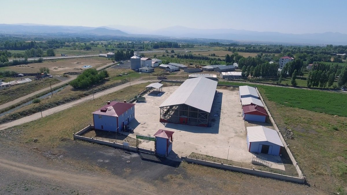 Bingöl'de kurban satış ve kesim yerleri belirlendi