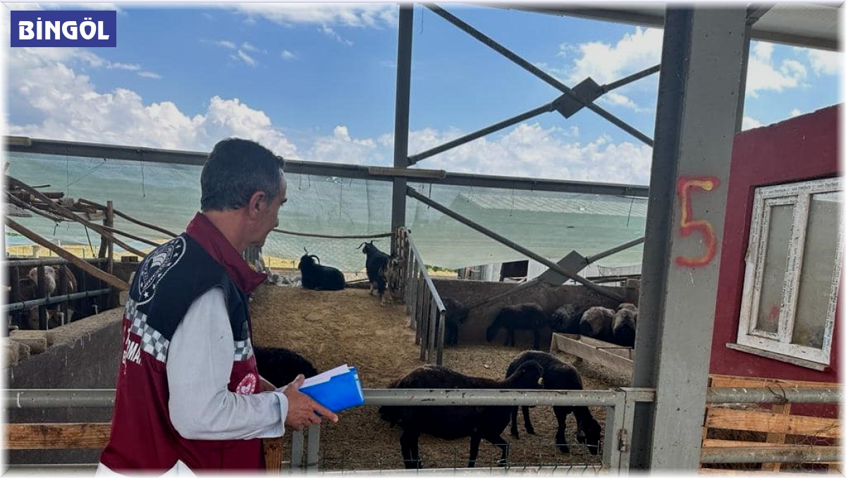 Bingöl'de kurbanlıklar ekipler tarafından kontrol ediliyor
