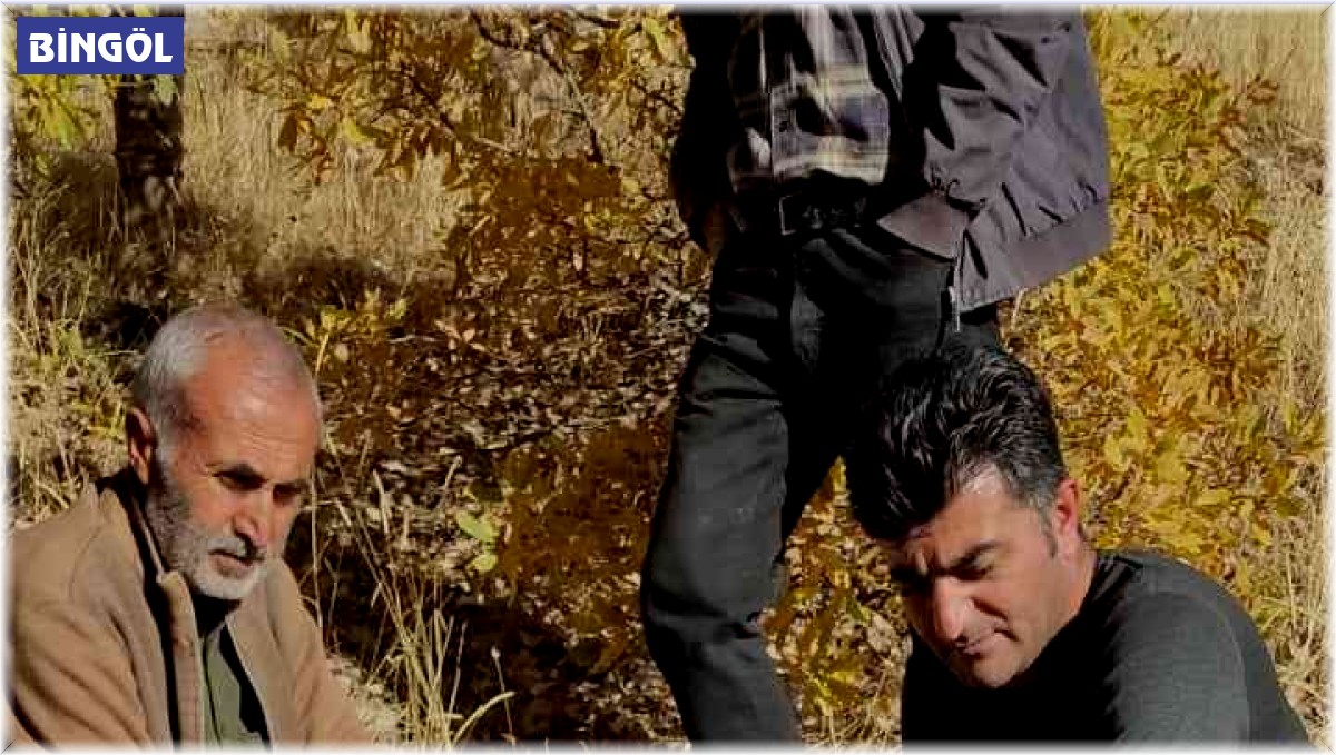 Bingöl'de kuşburnu toplanken kaybolan yaşlı kadın bulundu