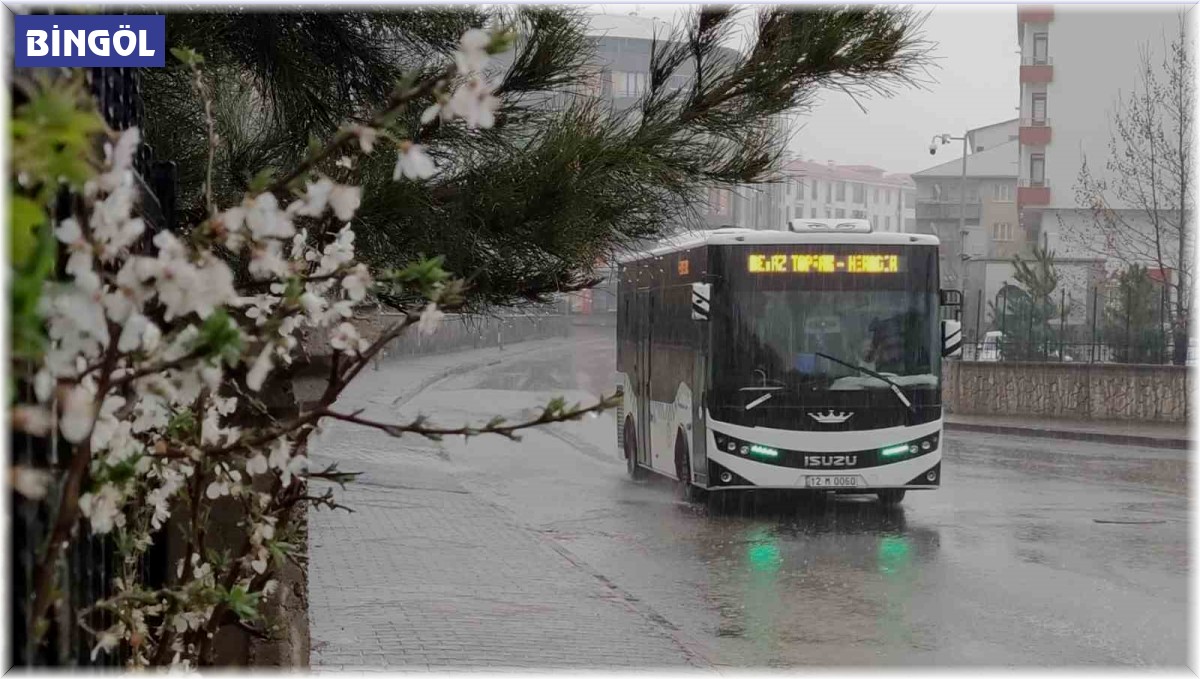 Bingöl'de kuvvetli sağanak yağış etkili oldu