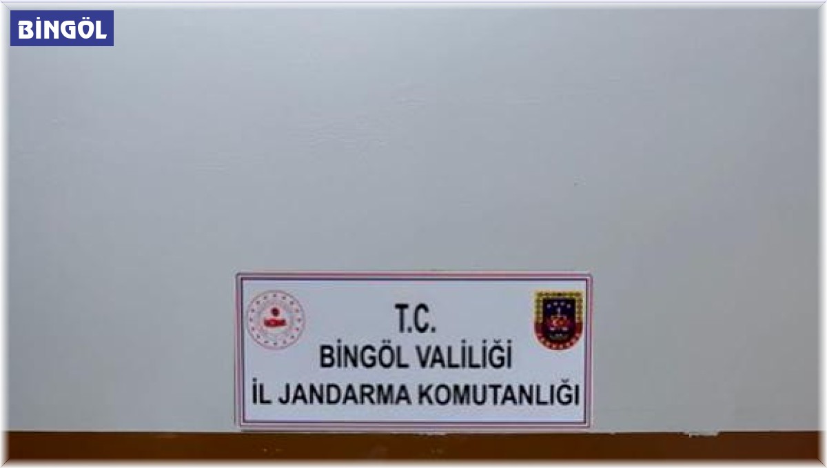 Bingöl'de narkoterör operasyonu: 32 bin kök kenevir ele geçirildi
