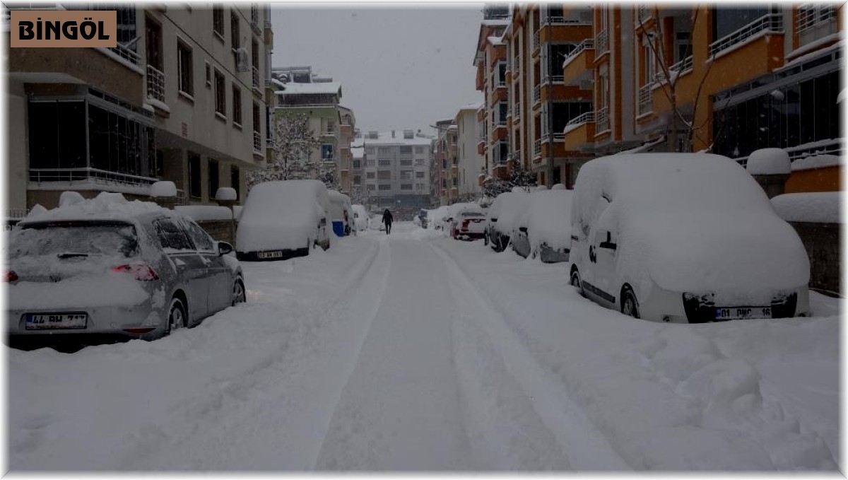 Bingöl'de okullar yarın da tatil edildi