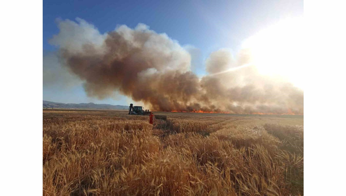 Bingöl'de onlarca dönüm ekili arazi küle döndü