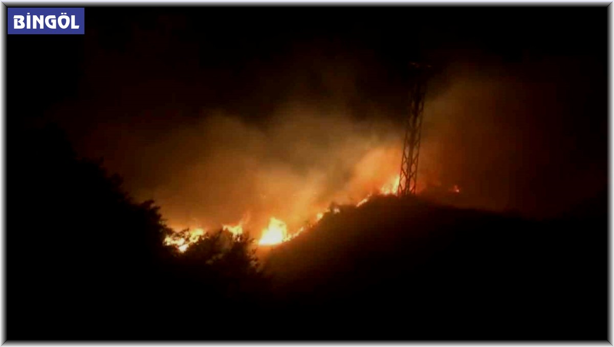 Bingöl'de orman yangını