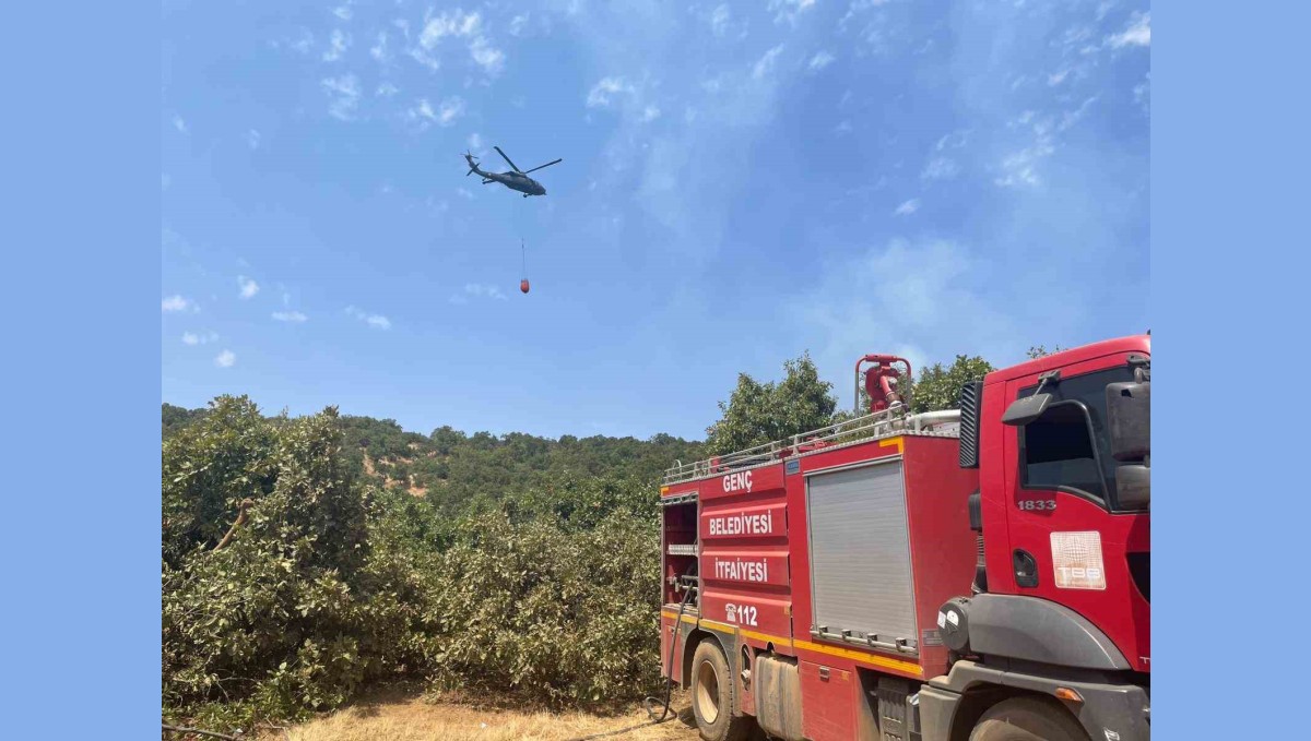 Bingöl'de orman yangını: Havadan karadan müdahale sürüyor