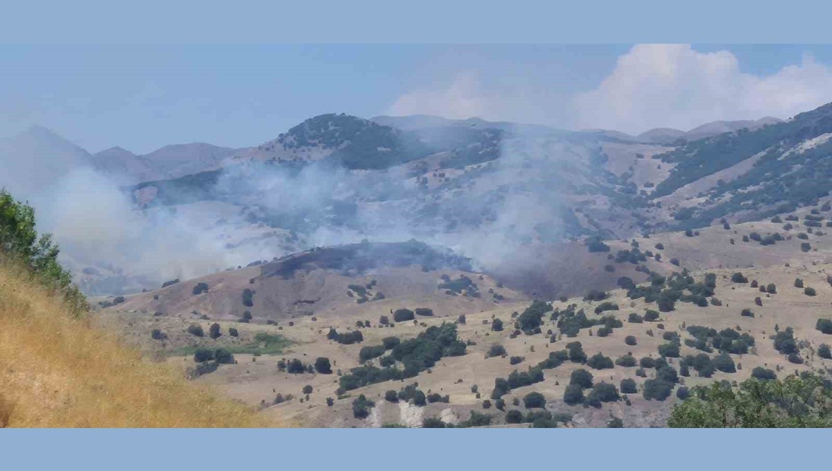 Bingöl'de orman yangını kontrol altına alındı