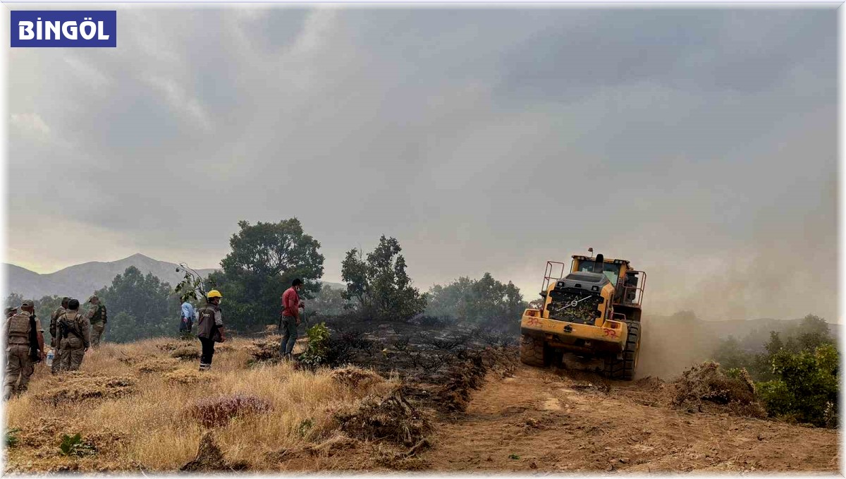 Bingöl'de ormanlık alanda çıkan yangın söndürüldü
