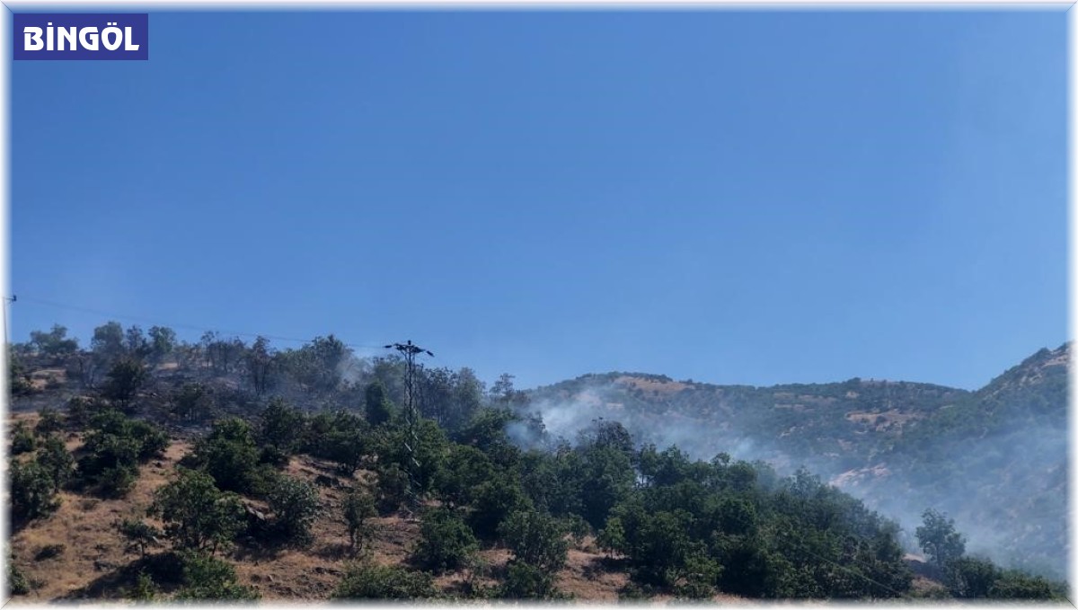 Bingöl'de ormanlık alanda korkutan yangın