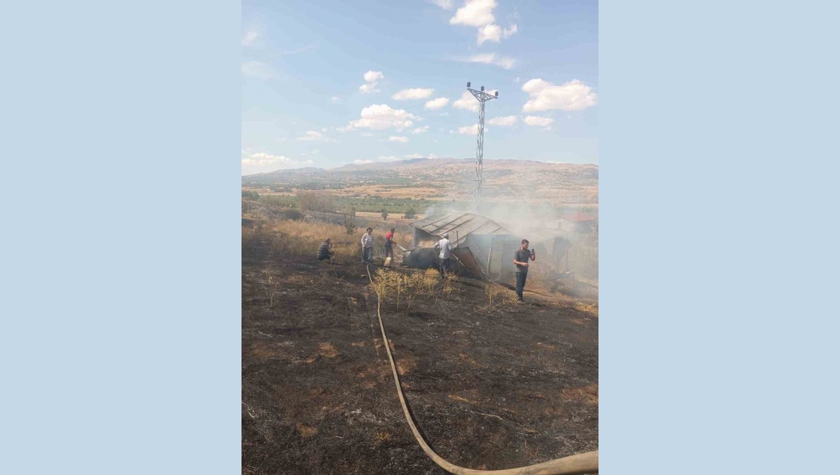 Bingöl'de örtü yangını