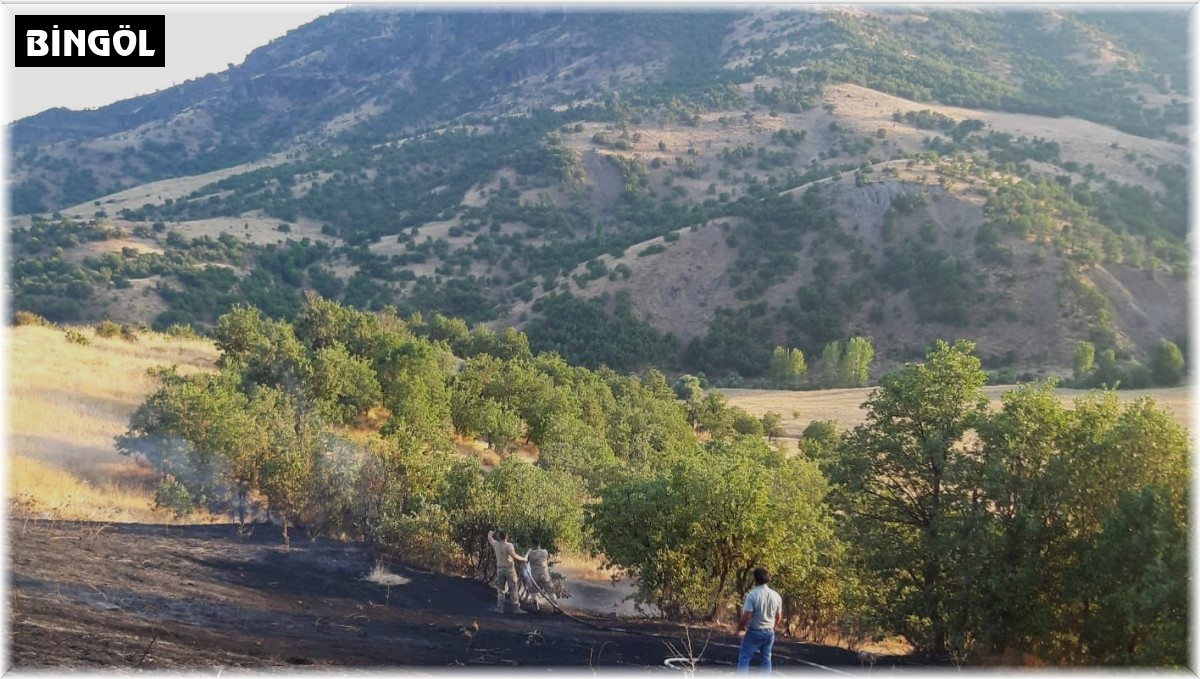 Bingöl'de otluk alanda çıkan yangın büyümeden söndürüldü