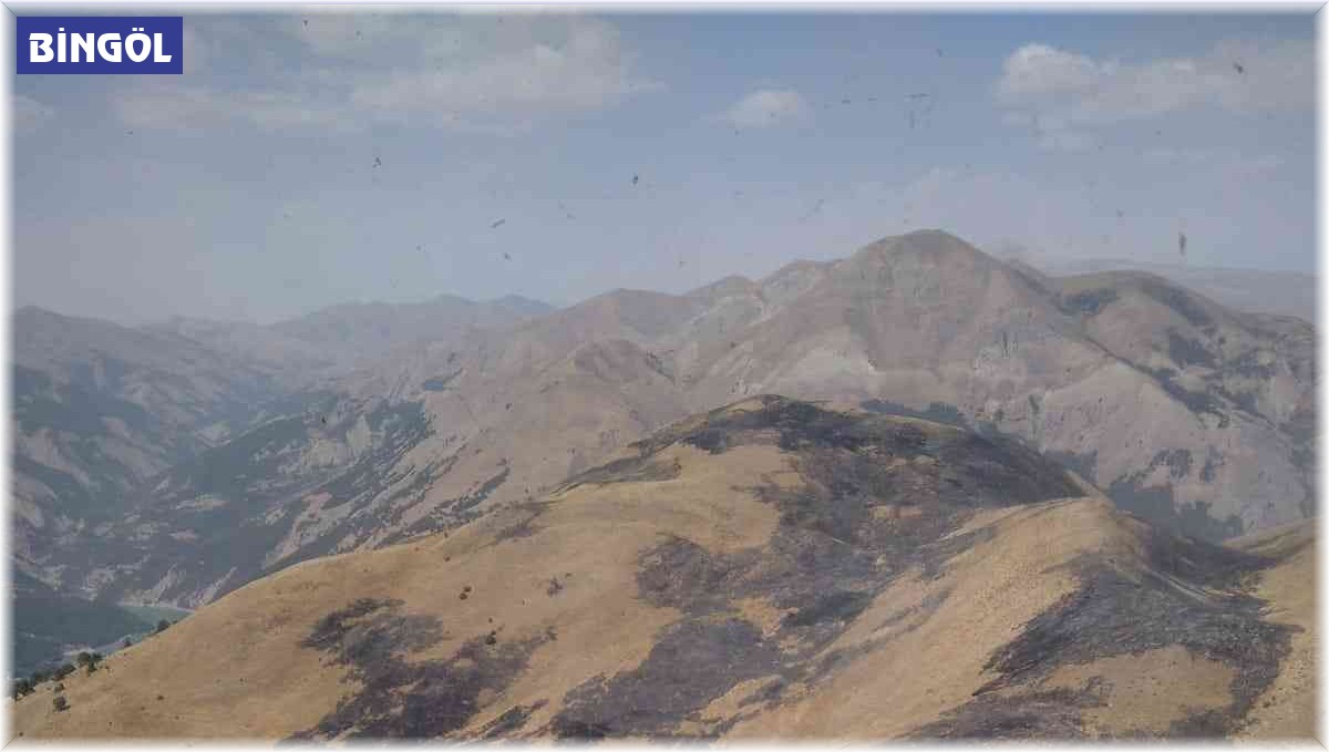 Bingöl'de otluk alanda yangın