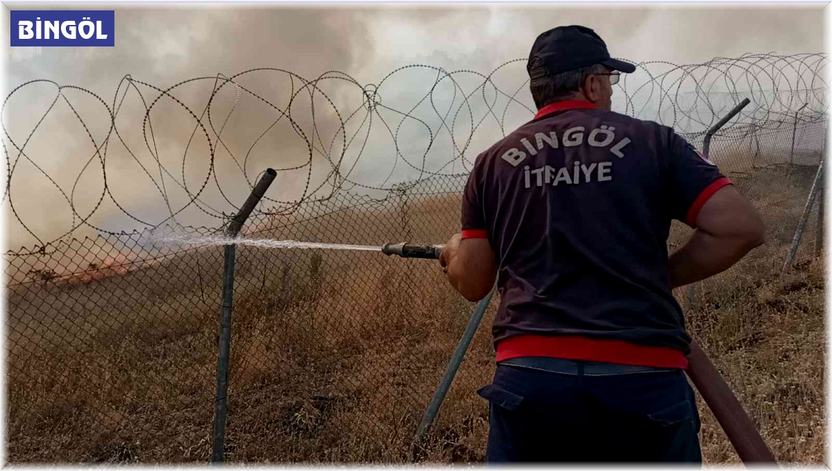 Bingöl'de otluk alanda yangın: Dumanlar gökyüzünü kapladı